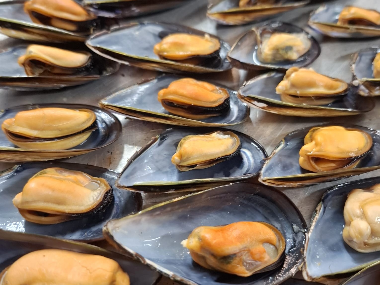 Evoluzione del Ristorante La Baia - Innovazione culinaria Sestri Levante